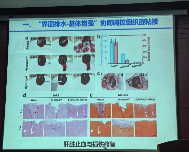 学术3.1.jpg